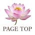 page top